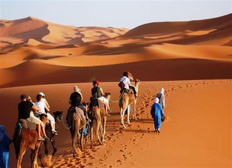 Balade en Chameau dans le Désert de Merzouga